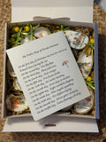 Florida 12 Days of Christmas Oyster Shell Christmas Ornament Set (yellow beads, green ribbons)